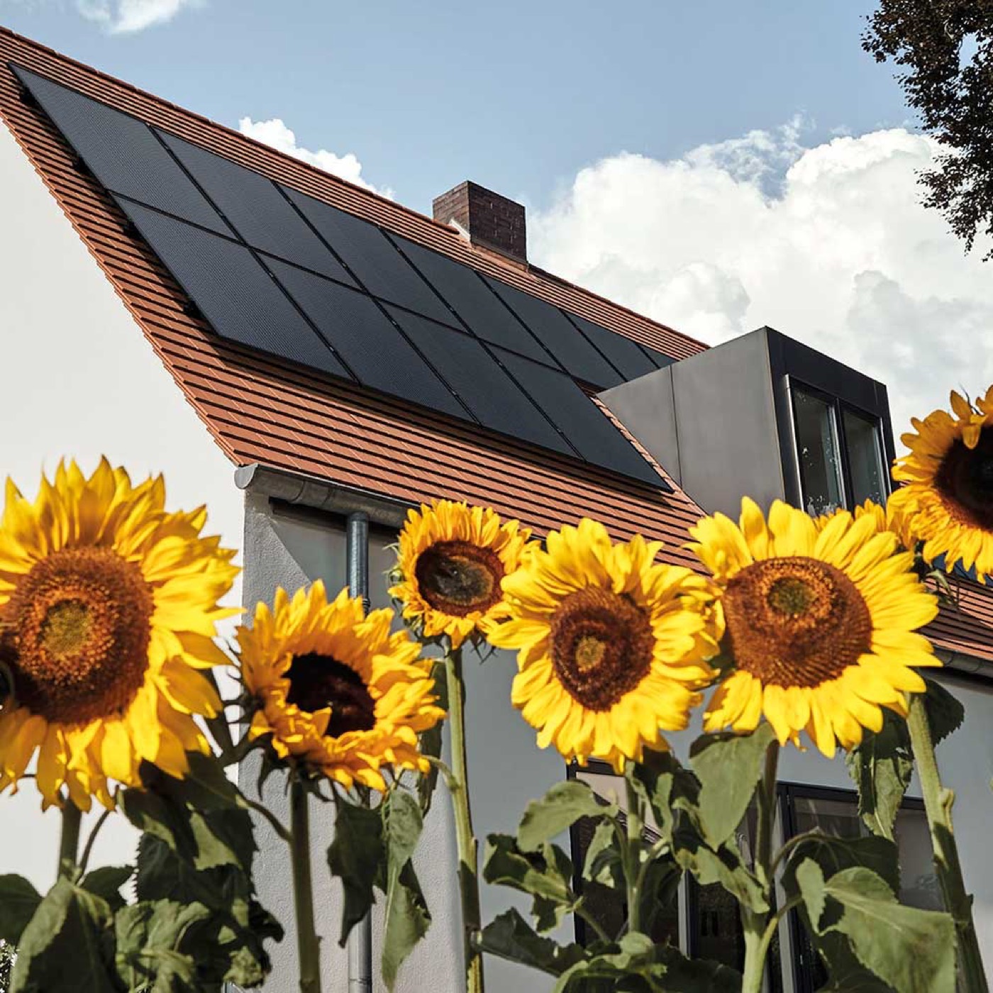 Photovoltaikanlage auf einem Hausdach